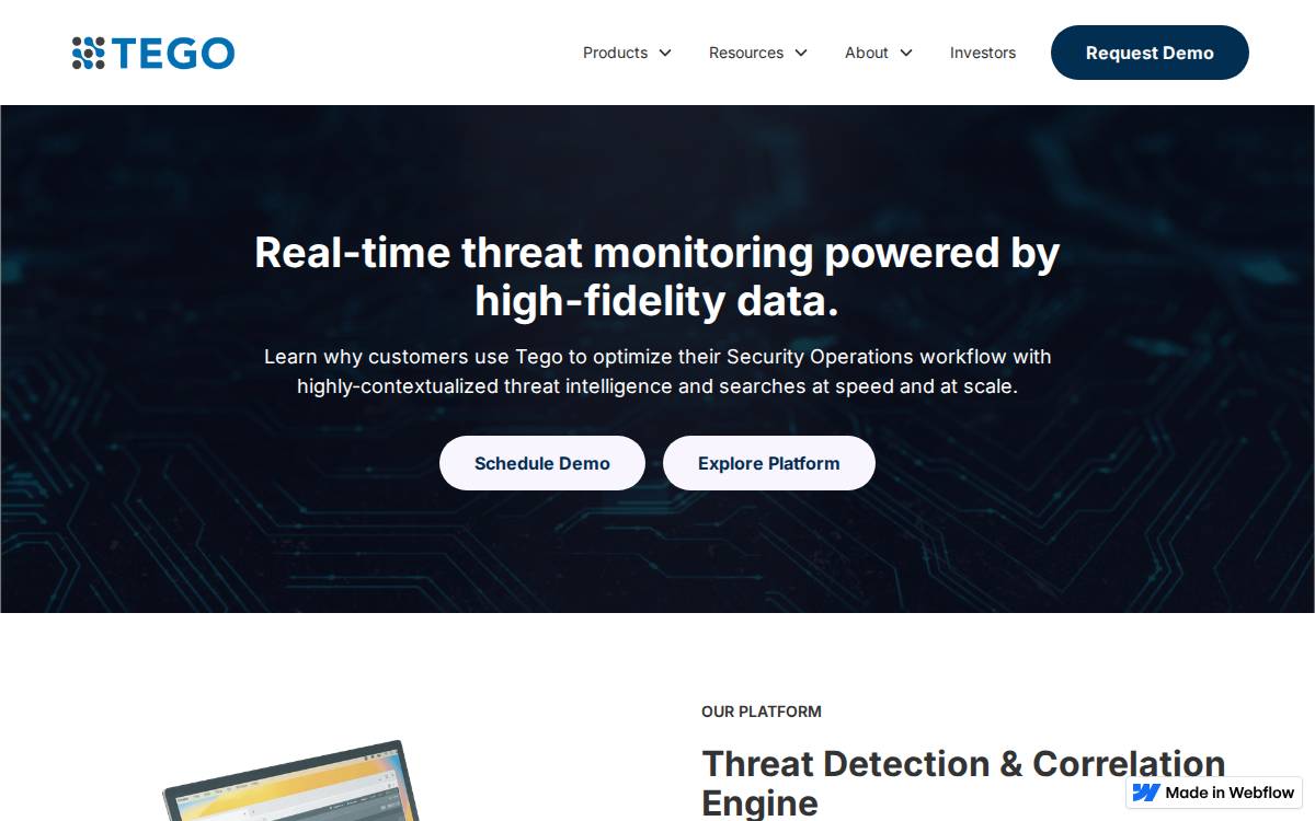 Tego Cyber website preview