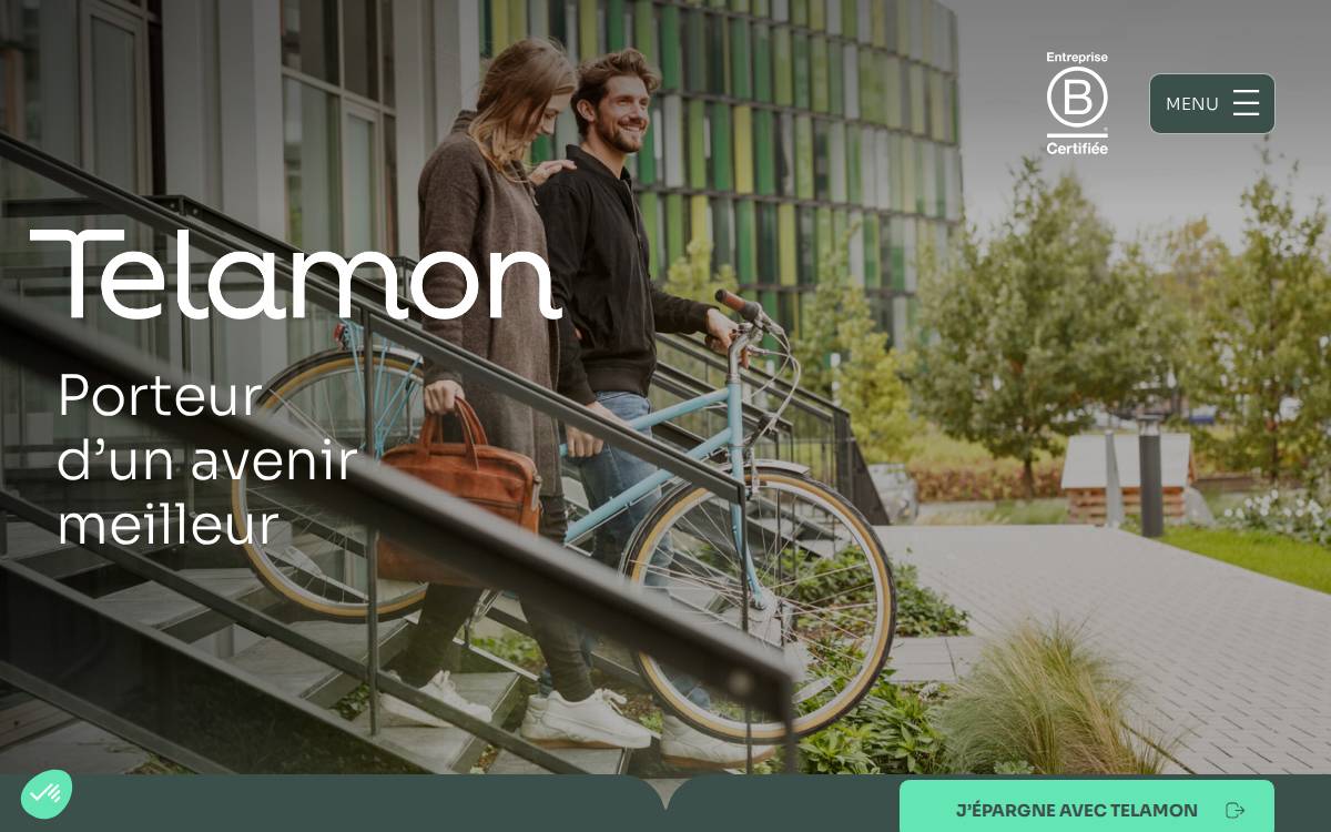 Telamon website preview
