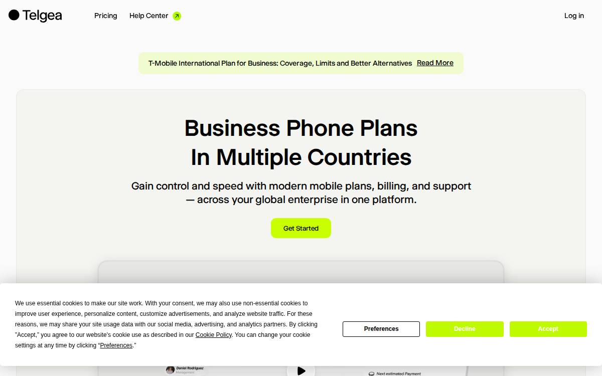 Telgea website preview