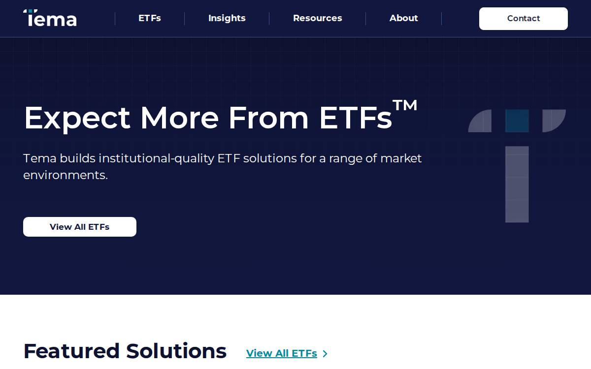 Tema website preview