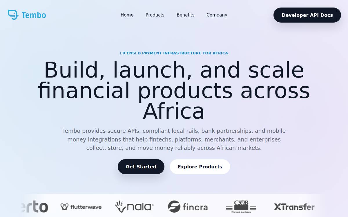Tembo website preview