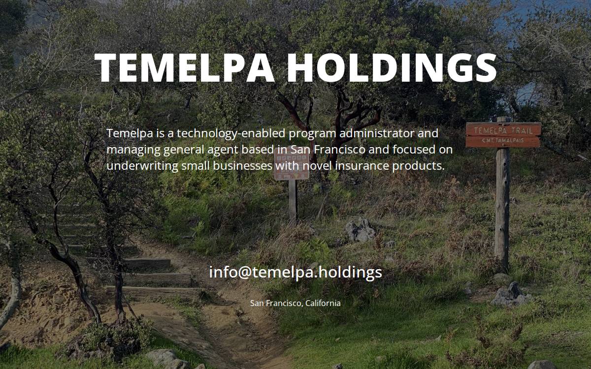 Temelpa Holdings website preview