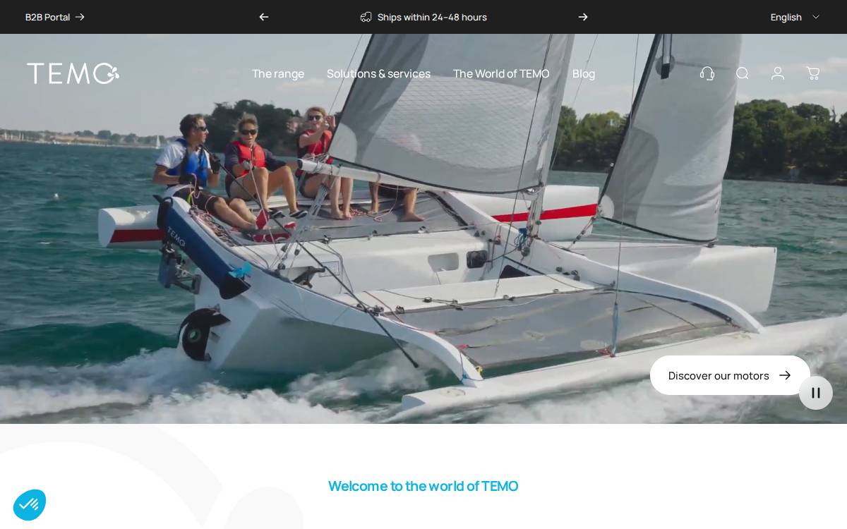 TEMO website preview