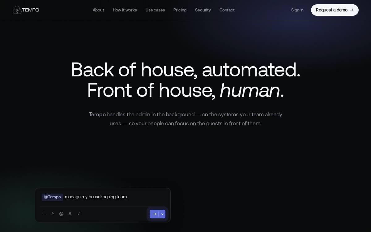 Tempo website preview