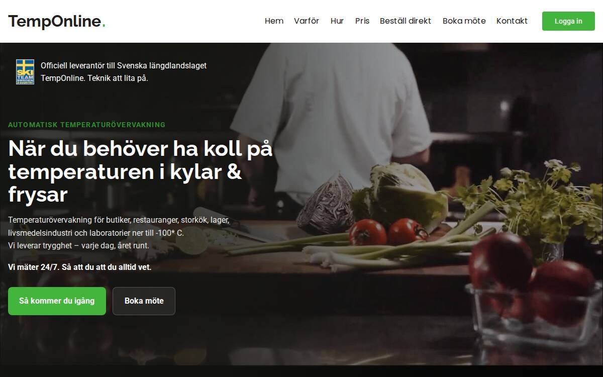 TempOnline website preview