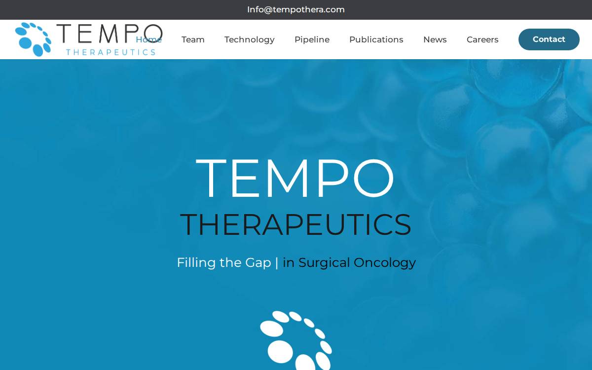 Tempothera website preview