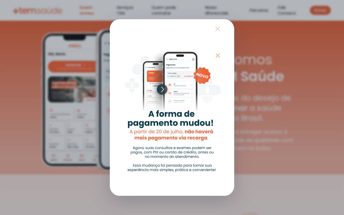 Temsaude website preview