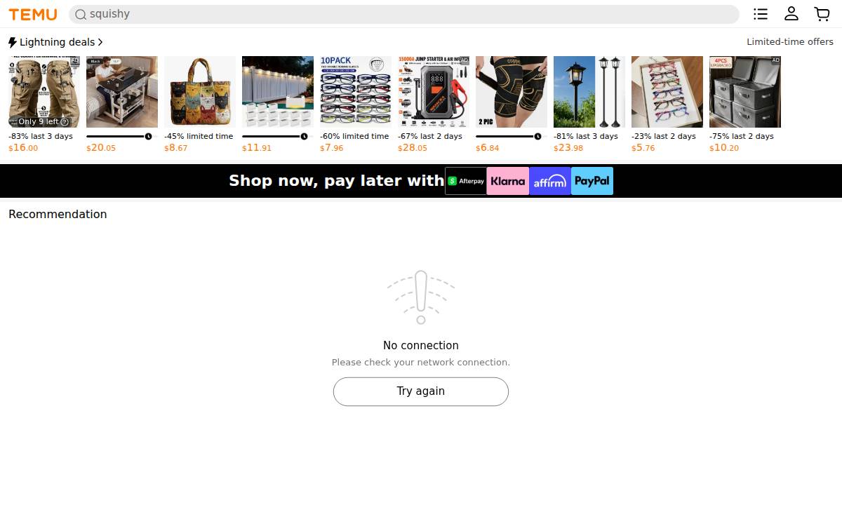 Temu website preview
