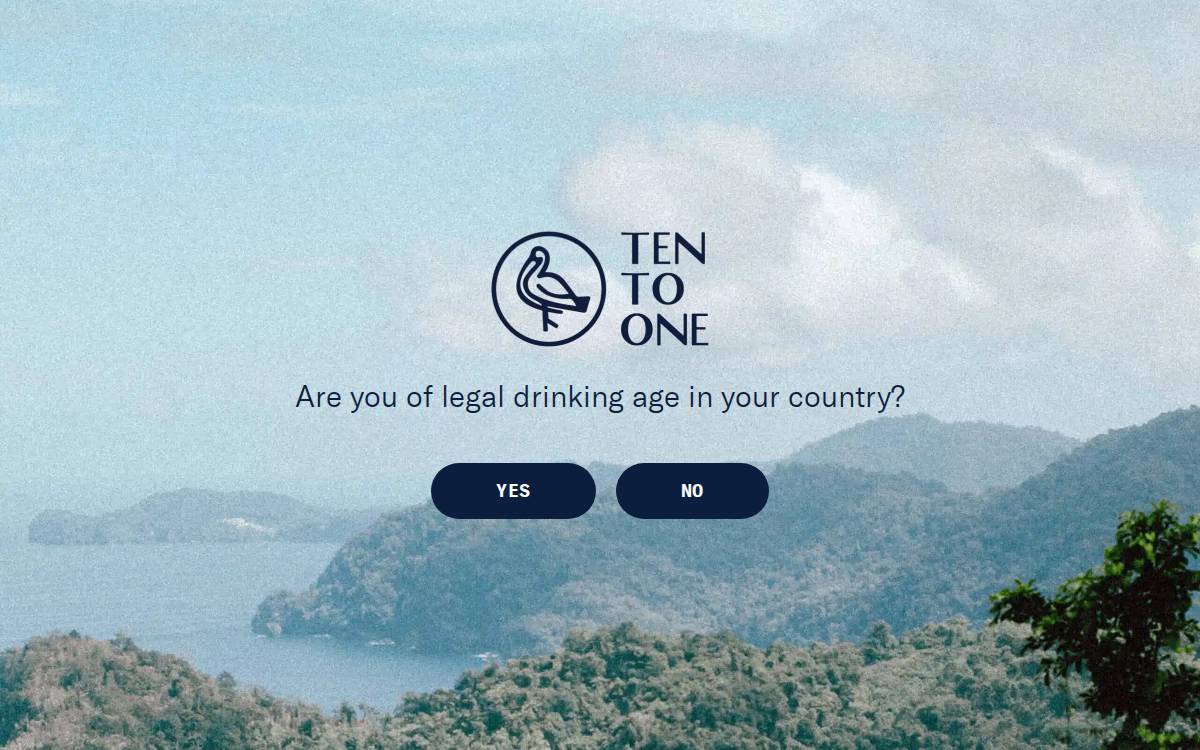 Ten to One website preview