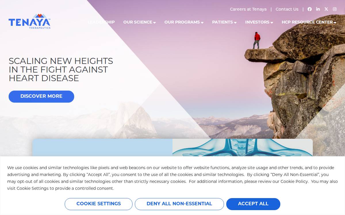 Tenaya Therapeutics website preview