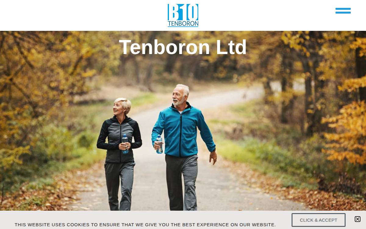 Tenboron website preview