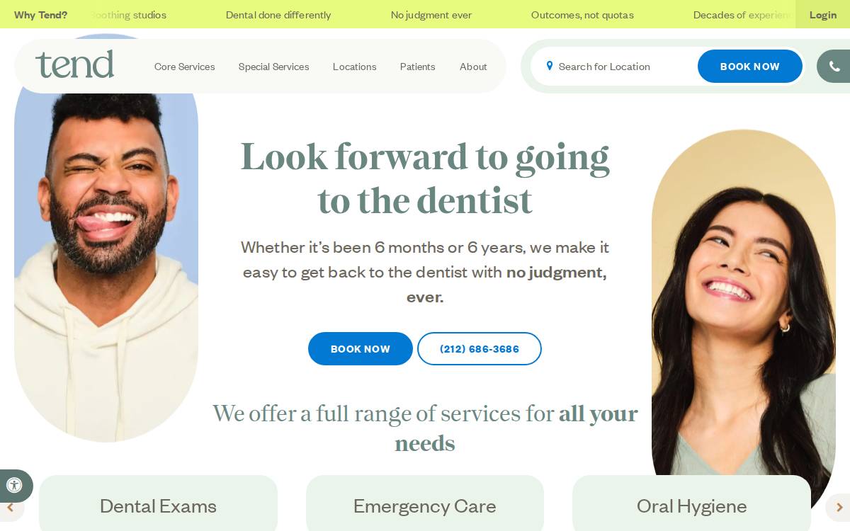 tend website preview