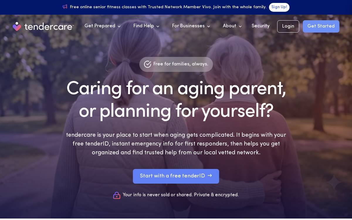 Tender website preview