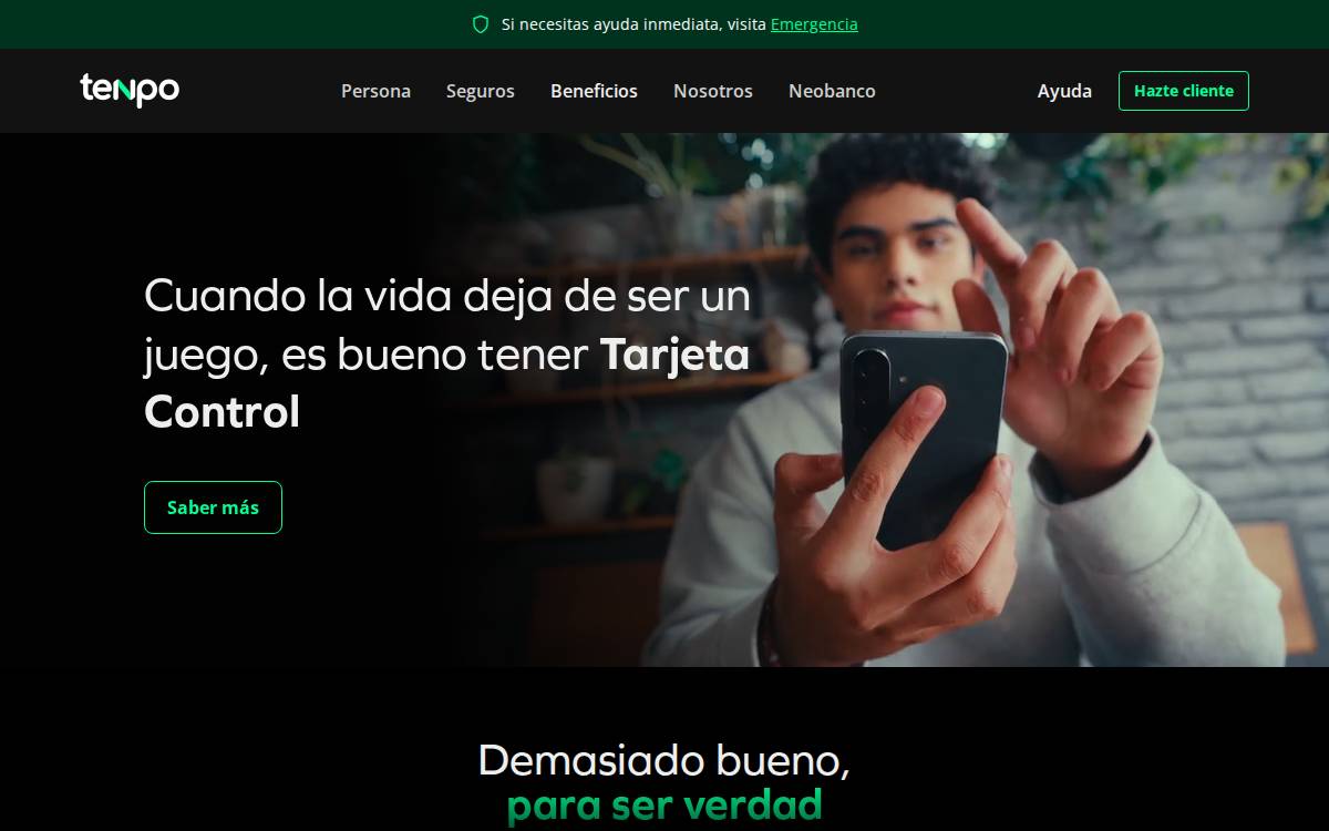 Tenpo website preview