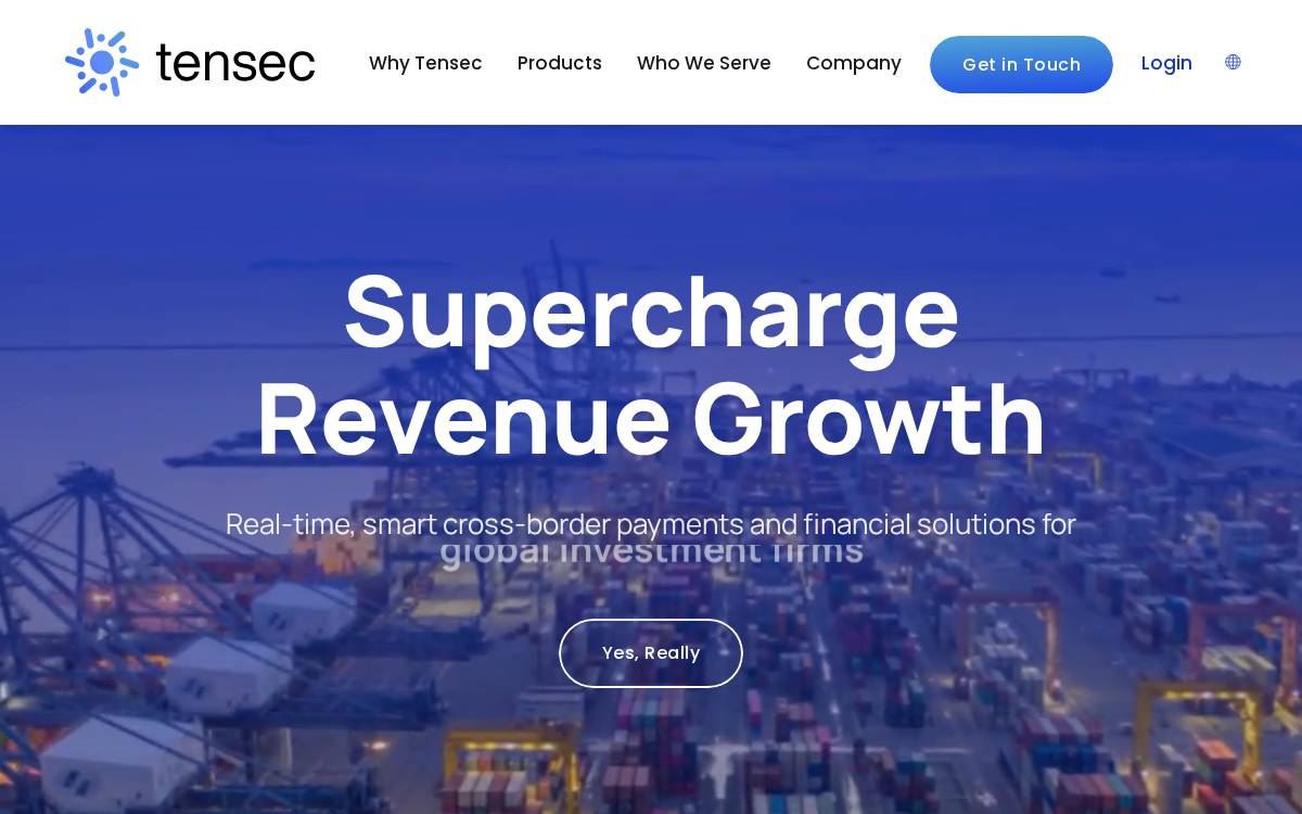 Tensec website preview