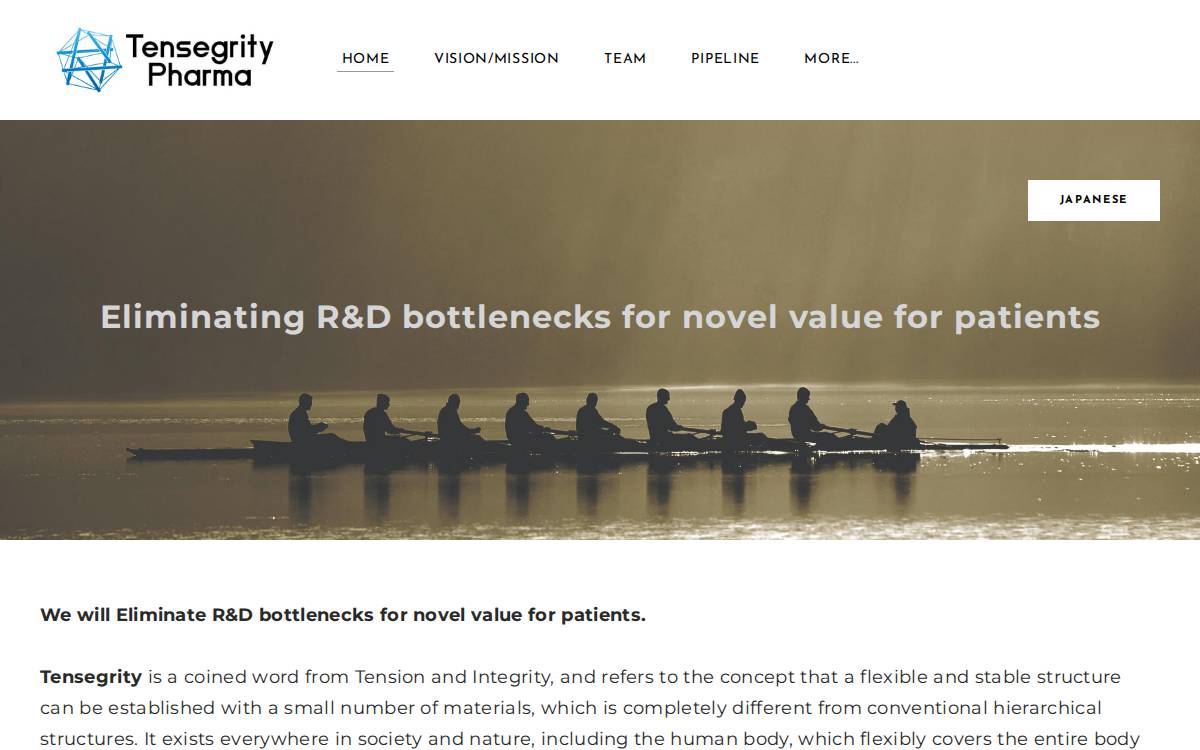 Tensegritypharma website preview