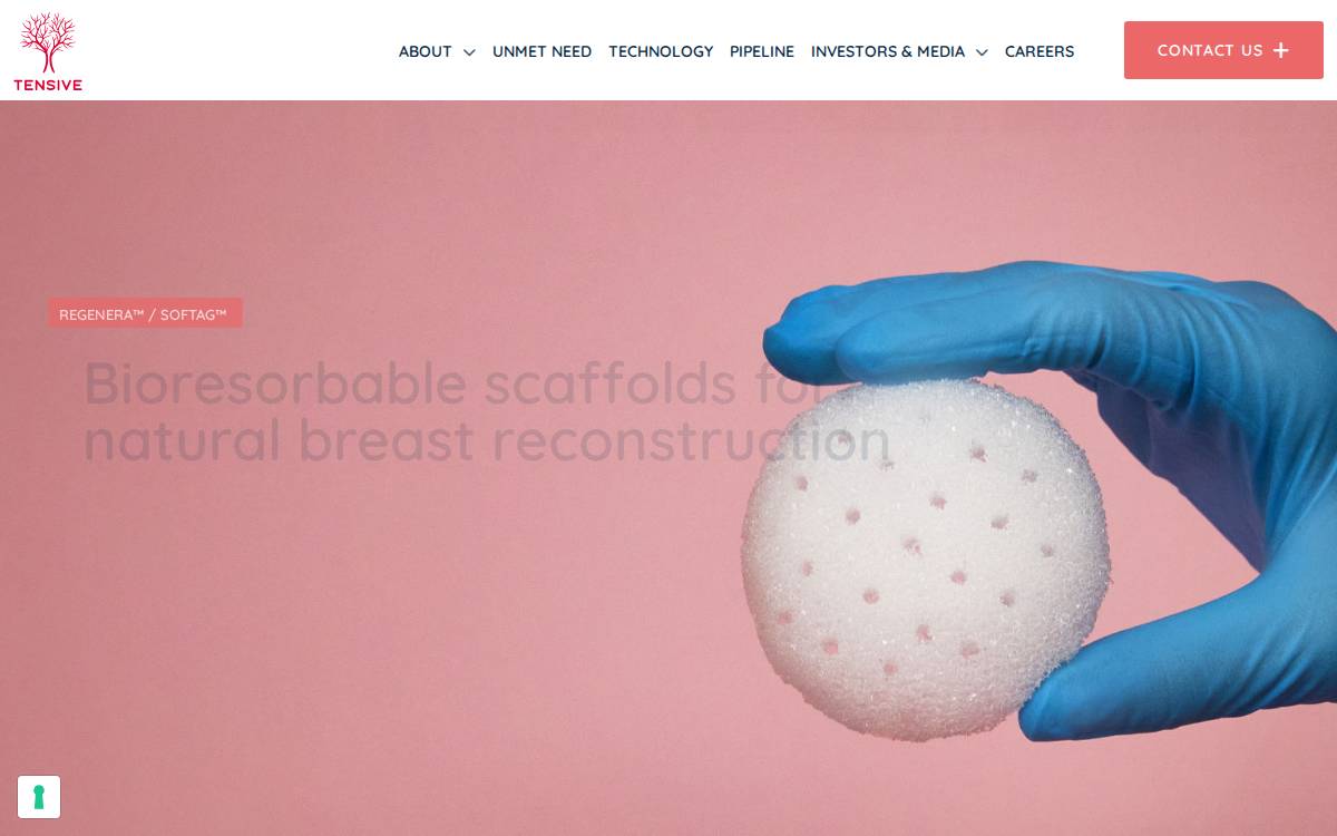 Tensive website preview