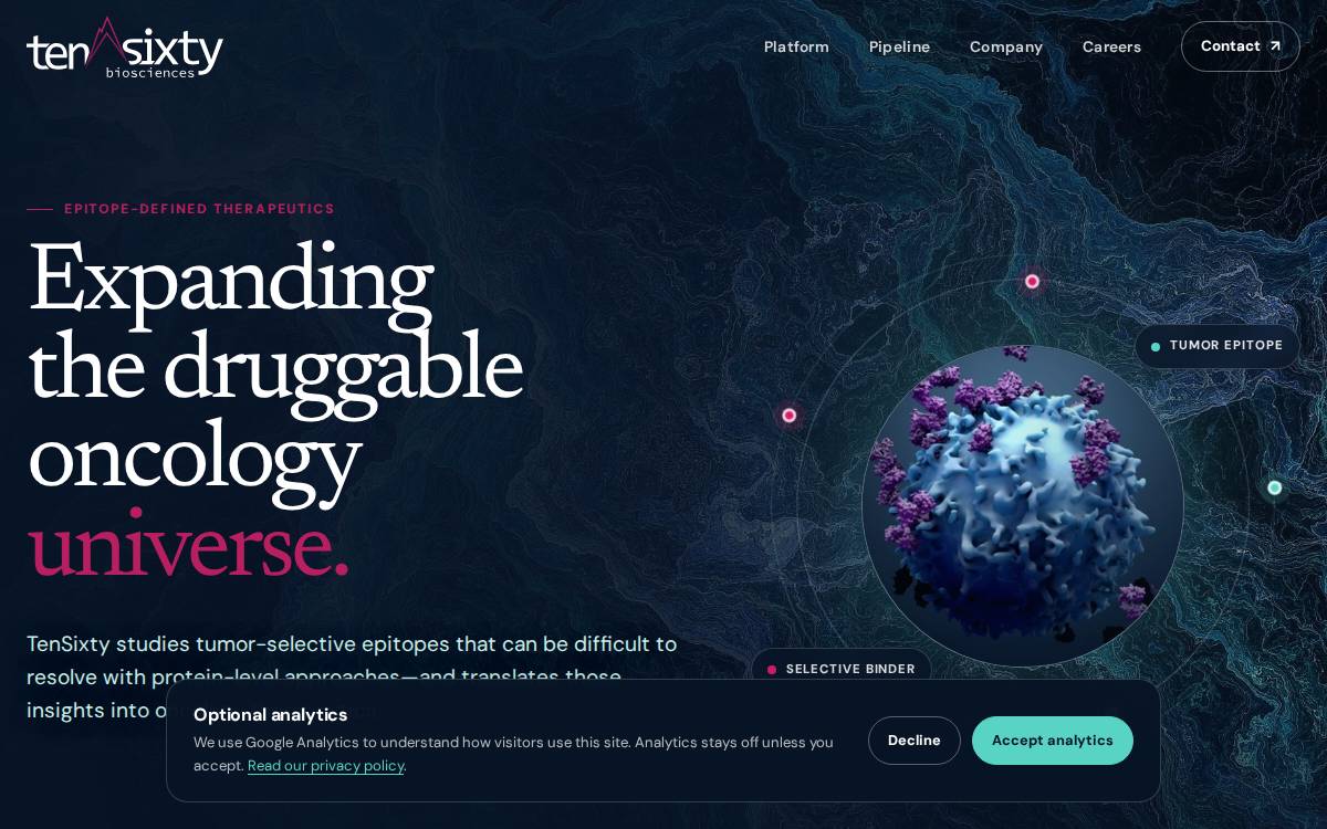 Tensixty website preview