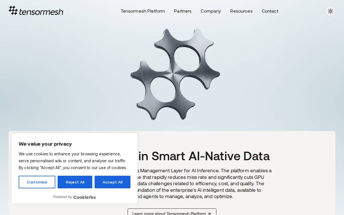 Tensormesh website preview