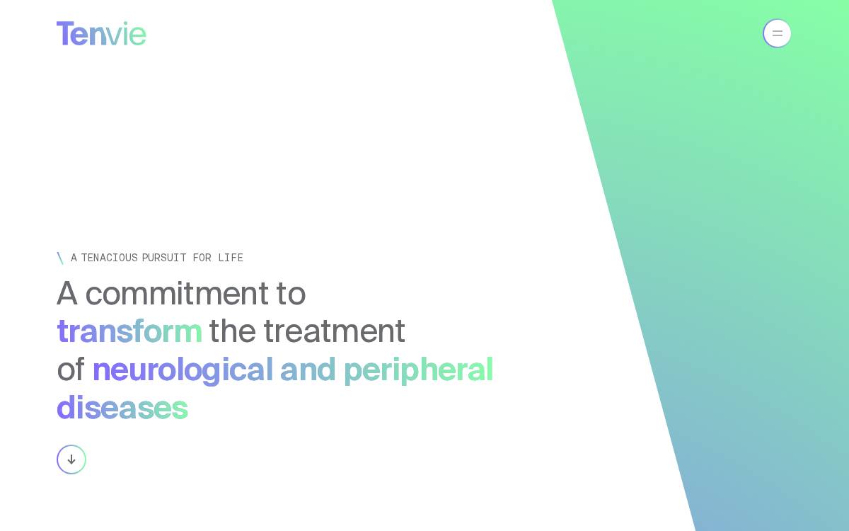 Tenvie website preview