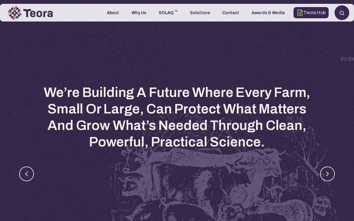Teora website preview