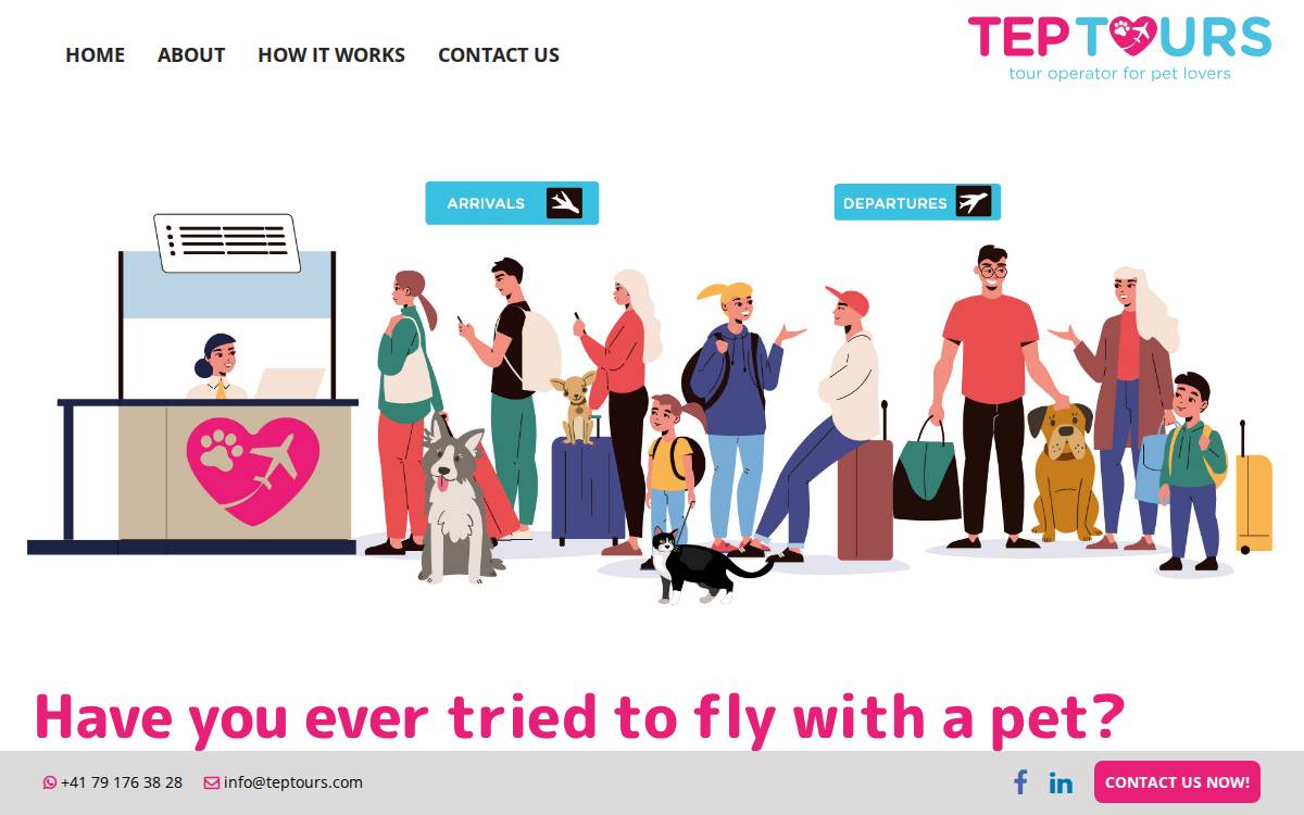 Teptours website preview