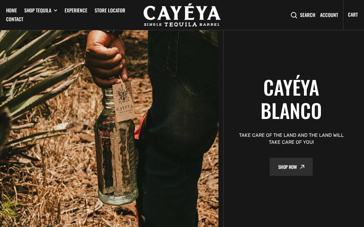 Tequilacayeya website preview