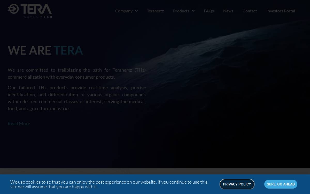 Tera website preview