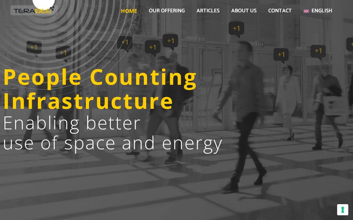 Terabee website preview