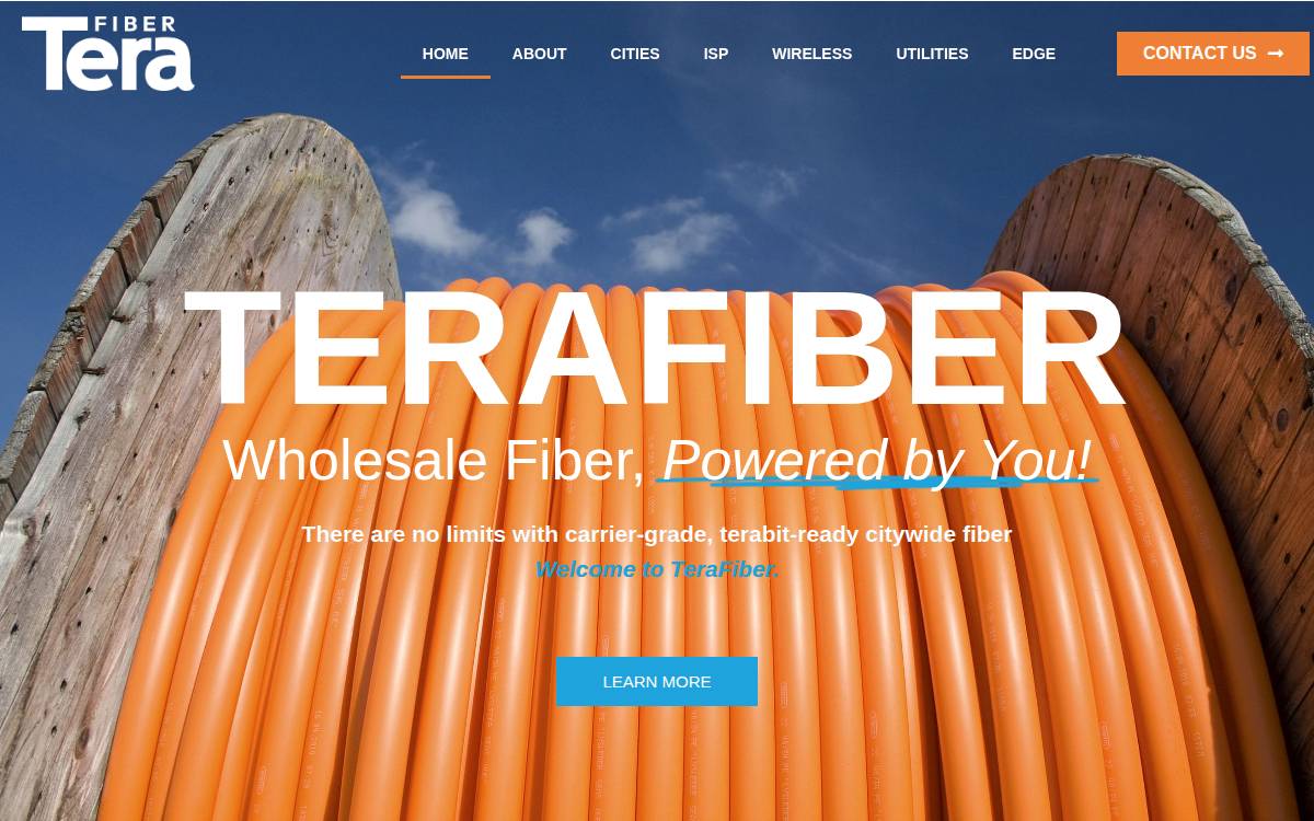 Terafiber website preview
