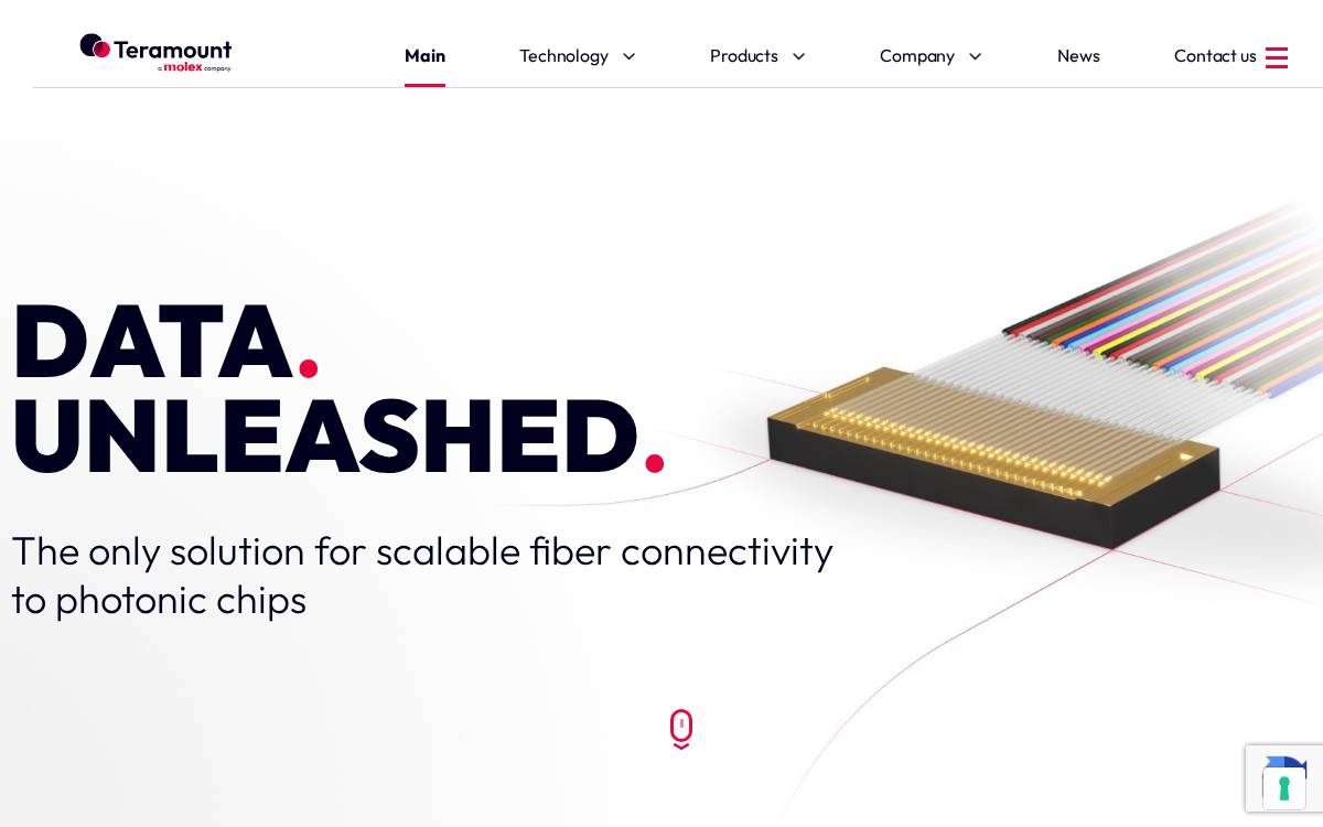Teramount website preview