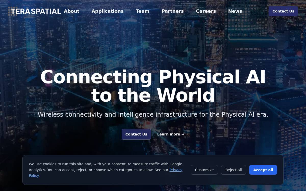 TeraSpatial website preview