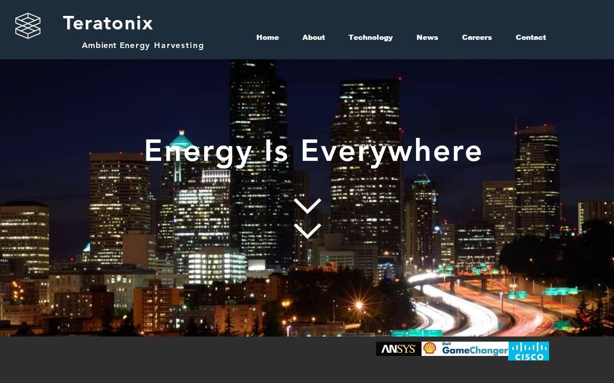 Teratonix website preview