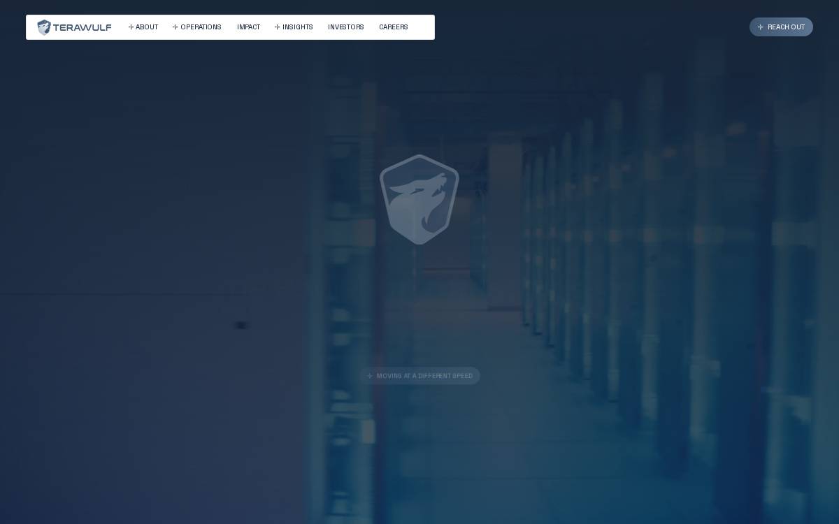 Terawulf website preview