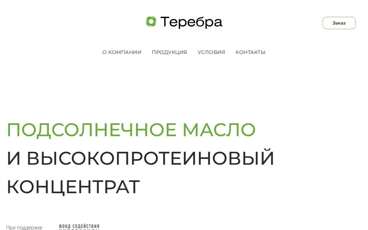Terebra website preview