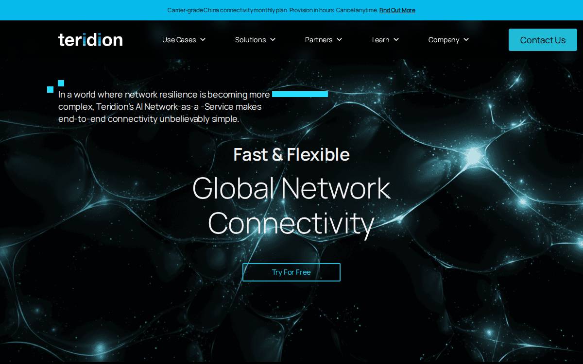 Teridion website preview