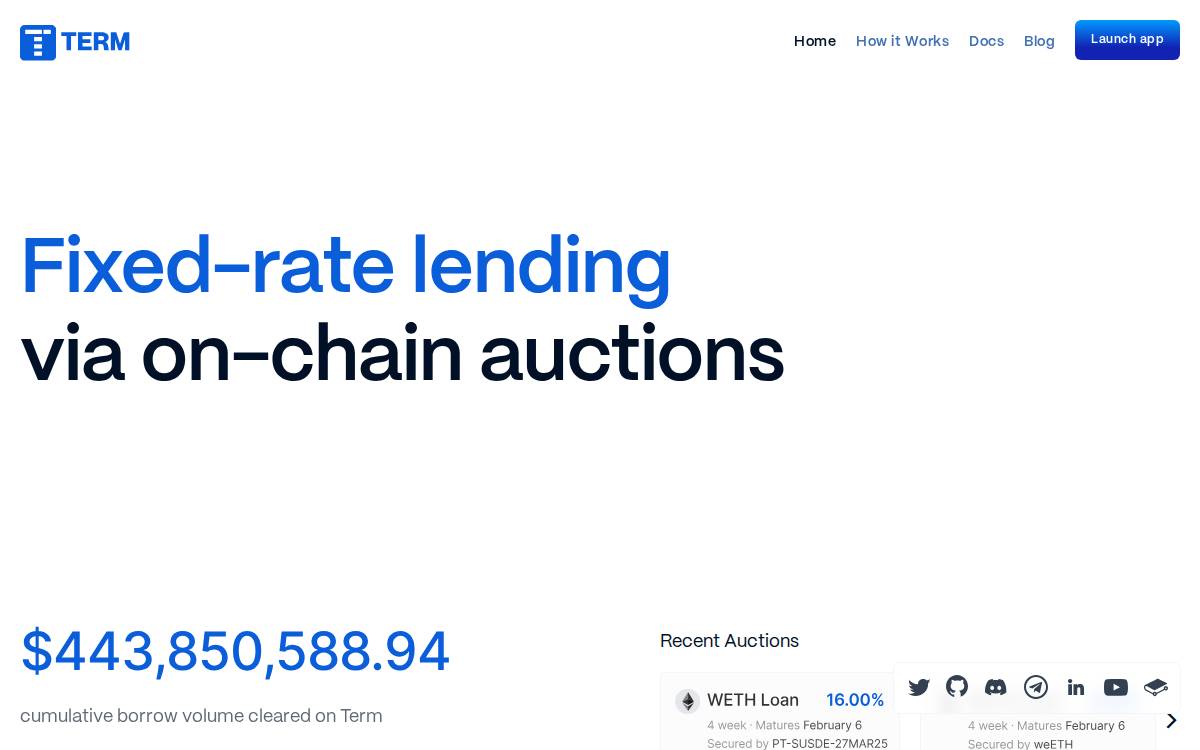 Term Finance website preview