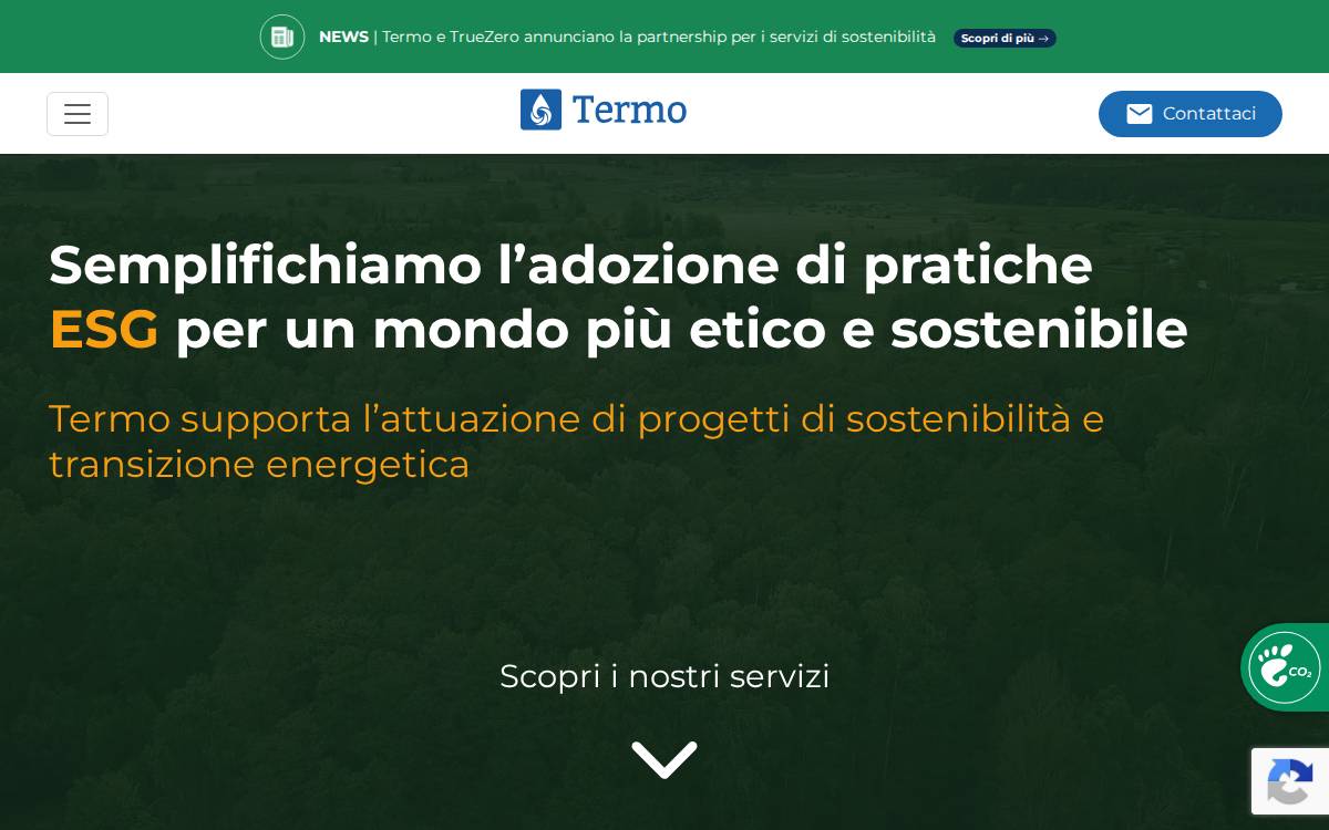 Termo website preview