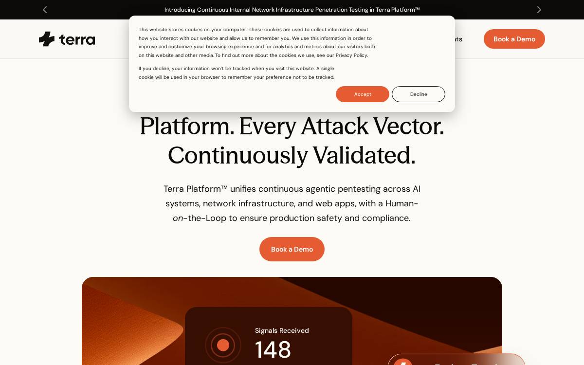 Terra Security website preview