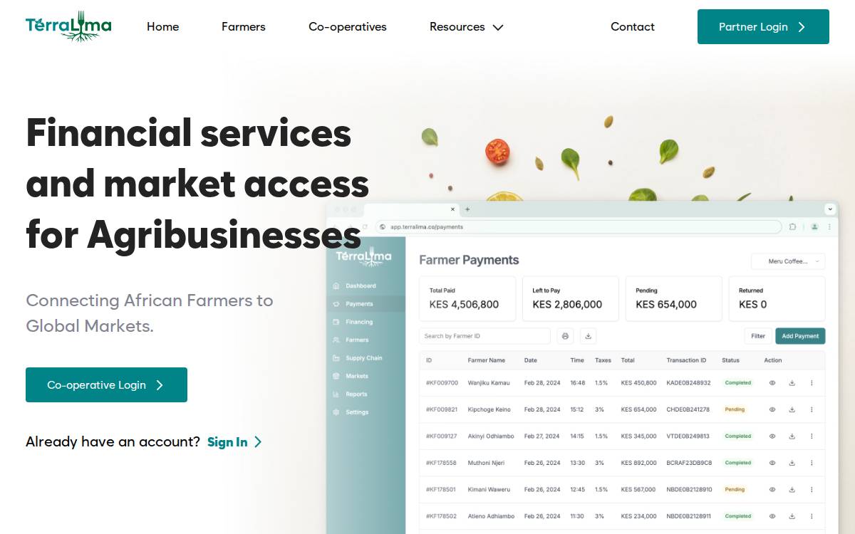 Terralima website preview