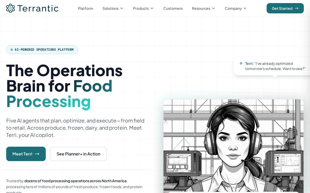 Terrantic website preview