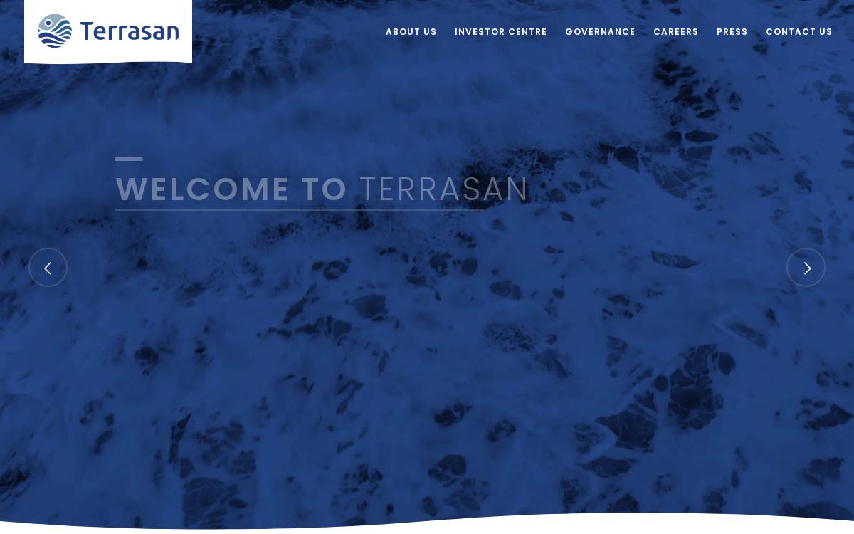 Terrasan website preview
