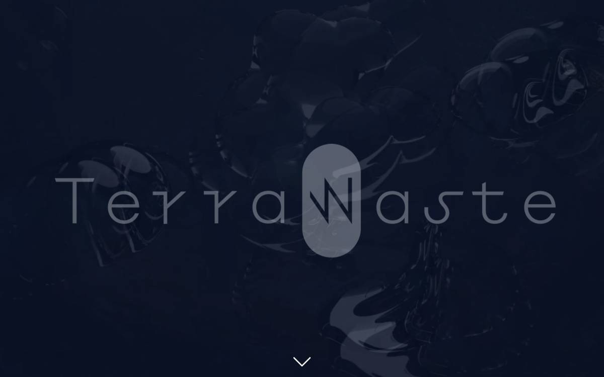 TerraWaste website preview