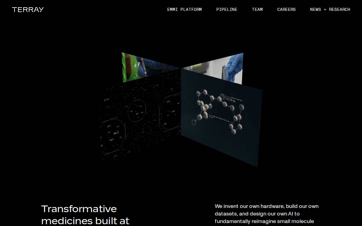 Terraytx website preview