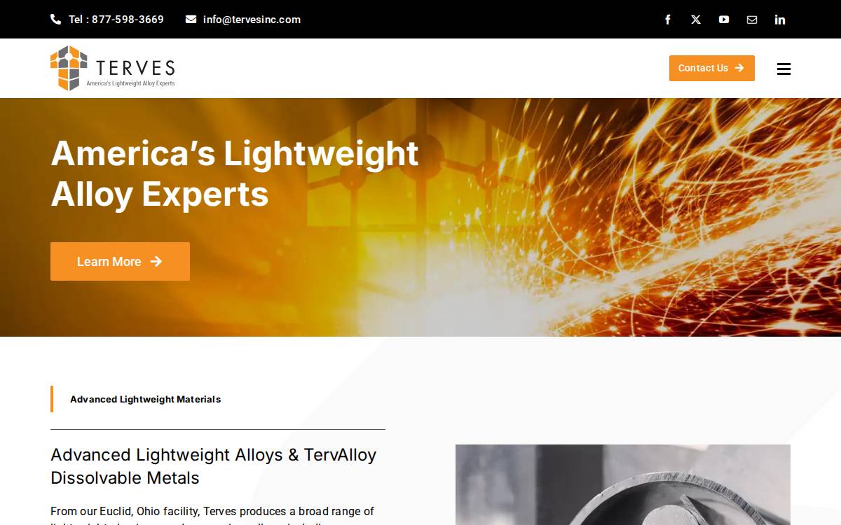 Terves website preview