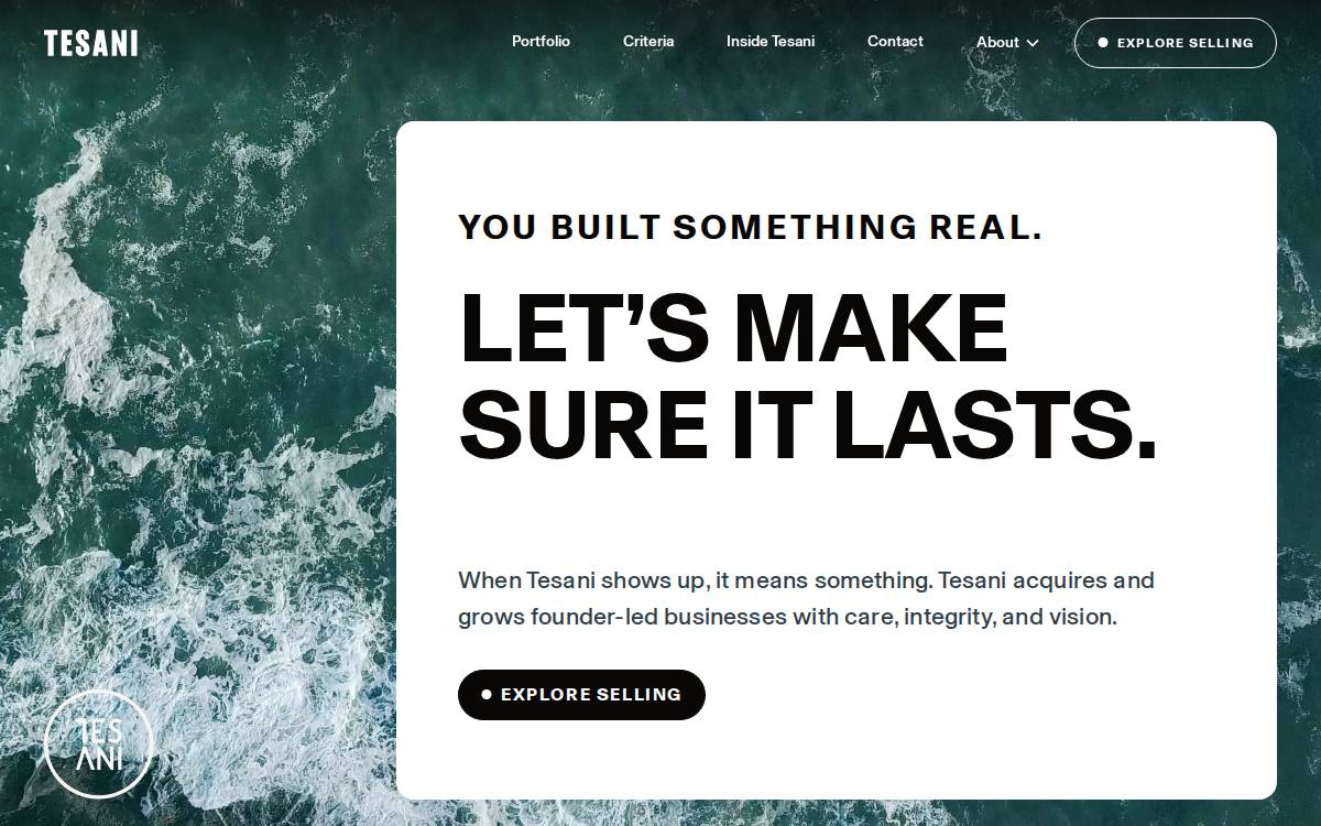 Tesani website preview