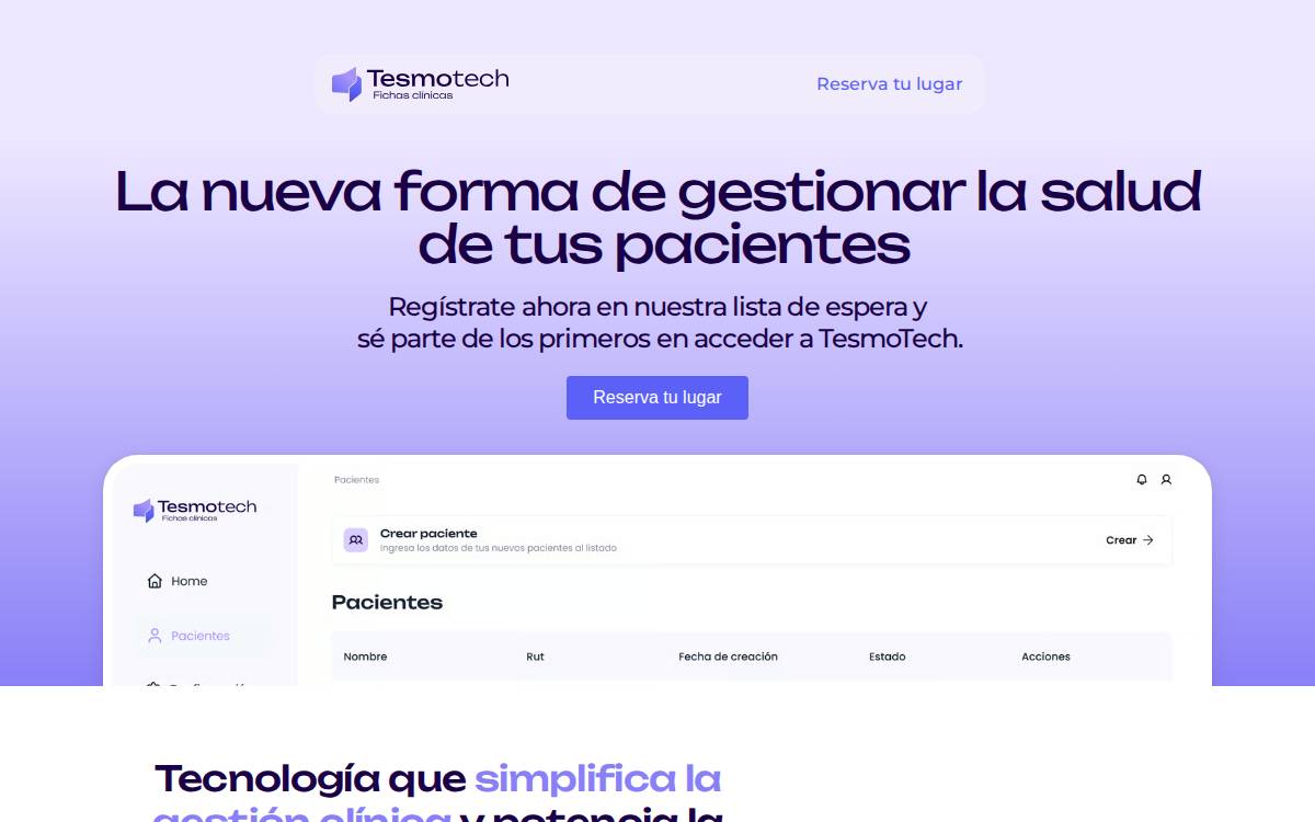 Tesmotech website preview