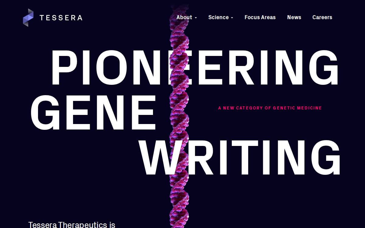 Tessera website preview