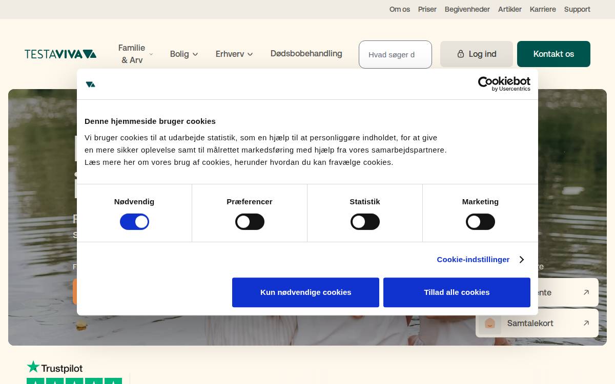 Testaviva website preview