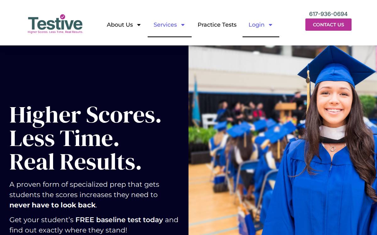 testive website preview